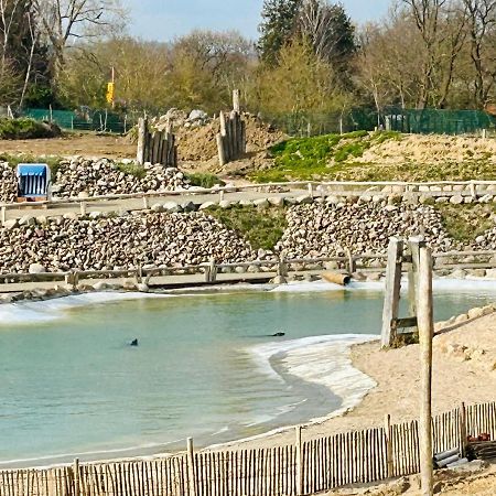 Kuestenbude Robbe Grömitz Zewnętrze zdjęcie